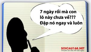 Cách bắt lô rơi 7 ngày chuẩn